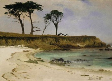 Albert Bierstadt Werke - Sea Cove Albert Bierstadt